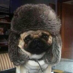 [LD] Romchik_Sattori